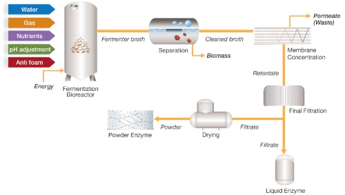 enzyme-filtration-process-flow-diagram