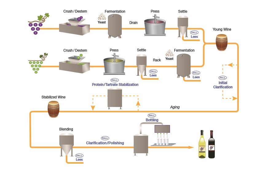 Contabilidad Empleado panel Filtración de vino - Sistemas tradicionales y modernos | Pall Corporation