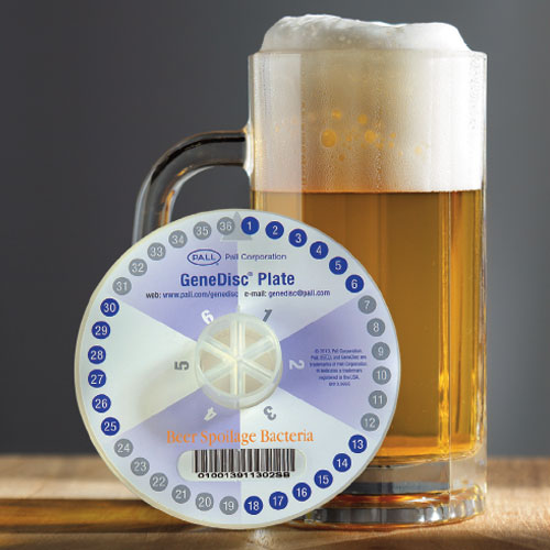 Disco GeneDisc para bacterias alterantes de la cerveza