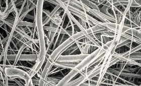 Glass Fiber Depth Media