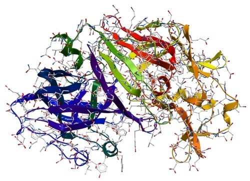 enzyme-filtration-structure